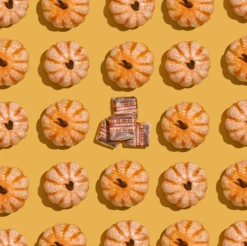 Pumpkin Spice Caramels -HAMMOND'S CANDIES Shop Screenshot2023 08 28at3.23.11PM