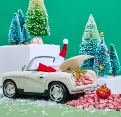 Peppermint Pillows Gift Bag Bundles -HAMMOND'S CANDIES Shop Screenshot2024 01 04at4.27.30PM