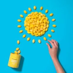 Lemon Drop Bag -HAMMOND'S CANDIES Shop Untitleddesign 14 9030d4bb c93c 4ab2 9097 3334ff5cbd5e