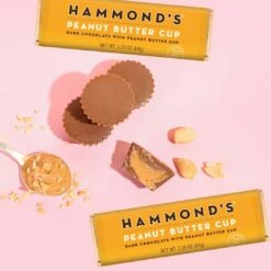 Peanut Butter Cup Dark Chocolate Bars -HAMMOND'S CANDIES Shop Untitleddesign 1 01dda7d1 0eec 48af 9d28 13ec3ded8c63