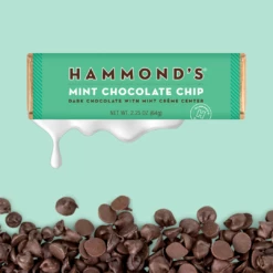 Mint Chocolate Chip Chocolate Bars 5 Mint Chocolate Chip Chocolate Bars -HAMMOND'S CANDIES Shop Untitleddesign 33 7222c3a1 2234 4aec b5e2 2fee43c459ed