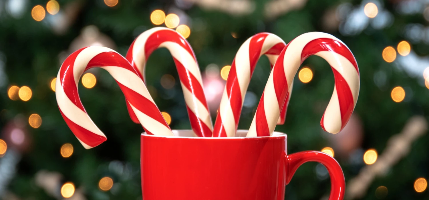 Organic Root Beer Candy Canes 4 Organic Root Beer Candy Canes - Image 4